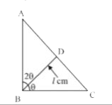 Length of a median of a right DeltaABC is l cm. That divides right angle in the ratio 1 : 2. What is the area of triangle?