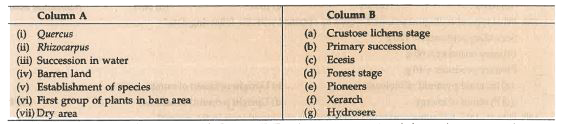 Match the terms in Column A with suitable terms in Column B :