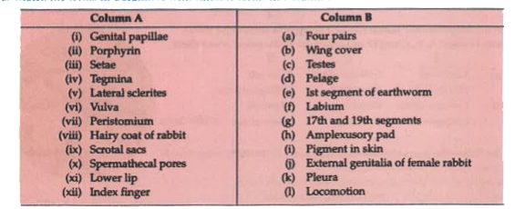 Match the terms in column A with suitable terms in Column B :