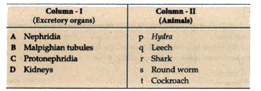 Match the excretory organs listed under column I with the animals given under column II. Choose the answer which gives the correct combination of alphabets of two columns.