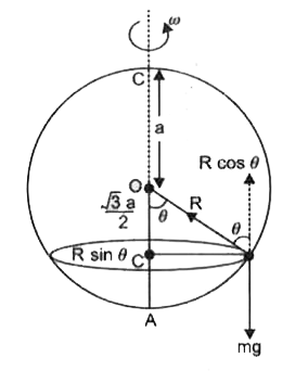 A smooth wire is bent into a vertical circle of radius a'. A bead of mass 'm' can slide smoothly on this circle. The loop is rotated about the vertical diameter with a constant angular speed of 'omega' rad. s^(-1). Bead is at rest with respect to the circular ring at a position Pas shown. the position is such that the radius of horizontal circle passing through P is half the radius of the loop. The value of omega is :