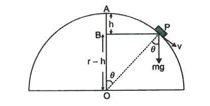 A small body of mass 'm' slides without friction from the top of a hemispherical bowl of radius 7. The vertical distance covered by it below the highest point just before breaking off from the surface is 'h'. What is the ratio of h to r?