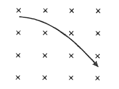 A particle is projected into a uniform magnetic field acting perpendicular to the plane of the paper . The field points intothe paper, indicated by xx which represents the tail of the field vector. The trajectory shown could be that of a (See Fig.) :