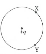 What will be the work done in taking a point charge from a point X to Y on te circumference of the given circle? Explain.