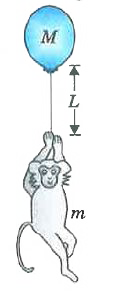 Monkey of mass m is holding the end of string connected to a balloon of mans M. Length of the string is L and the complete system remains at rest in mid air as shown in figure. Monkey starts to climb to catch the balloon. Calculate distance travelled by balloon by the time monkey reaches the balloon.