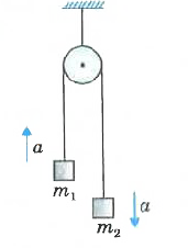 String going over a pulley connects two blocks of masses m, and my. String and pulley are light. Calculate acceleration of centre of mass of blocks system.