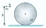 Sphere of mass M and radius R is kept on a rough horizontal floor. A small particle of mass m, moving horizontally with velocity, collides with the sphere and sticks to it. Line of motion of particle before collision is at a heighth above the floor. Assume that mase of sphere is very large in comparison to particle so that we may assume that centre of mass of the combined system remains at the centre of the sphere after the collision.      What will be the approximate velocity of combined system after the collision?