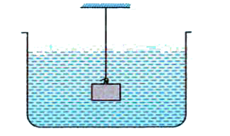 From a massless string, a metallic cube of edge 3 cm is suspended and them immersed in water as shown in figure. If the density of metal is 5 xx 10^(3) kg//m^(3) then find the tension in the string if the given system is   (a) at rest   (b) moving downwards with an acceleration of 3m//s^(2) .   (C) moving upwards with an acceleration of 3 m//s^(2).