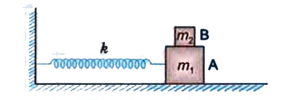 A block A of mass m(1) is  placed on a horizontal frictionless table. It is connected to one end of a light spring of force constant k whose other end is fixed to a wall. A small block B of mass m(2) is placed on block A. The coefficient of static friction between the blocks is mu. The system is displaced slightly from its equilibrium position and released. What is the maximum amplitude of the resulting simple harmonic motion of the system so that the upper block does not slip over the lower block ?