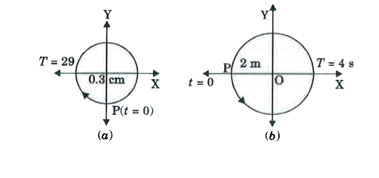 Figure below correspond to two circular motions. The radius of the circle, the period of revolution, the initial position, and the sense of revolution (i.e. clockwise or anticlockwise) are indicated on each figure. Obtain the corresponding simple harmonic motions of the x-projection of the radius vector of the revolving particle P in each case.