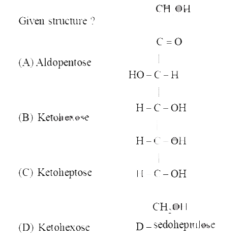 Match the following columns