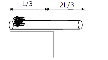 A straw of length L, mass M lies over a smooth horizontal table with its (2/3)^(rd) part hanging in air. There is an insect of mass m at the end of straw initially. Insects slowly moves on straw to other end such that straw never falls off the table.