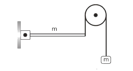 A rod and a block are of same mass. Initially rod is in horizontal position. What will be acceleration of tip of the rod just after the system is released from this position shown in figure.
