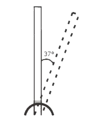 A uniform rod of mass M &   length L is hinged about its one end as shown. Initially it is held vartical and then allowed to rotate, the angular velocity of rod when it makes an angle of 37^(@)  with the vertical is