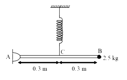 A uniform thin rod has a mass 1 kg and carries a mass 2.5 kg at B. The rod is hinged at A and is maintained in the horizontal position by a spring having a spring constant 18 k