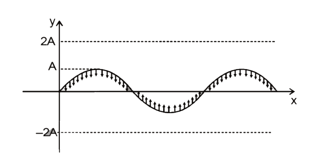 Figure shows the standing waves pattern in a string at t = 0. Find out the equation of the standing wave where the amplitude of antinode is 2A.