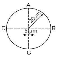 Two point source separated by d=5 mu m emit light of wavelength lambda = 2 mu m in phase. A circular wire of radius 20 mu m is placed around the source as shown in figure. Which point are dark and bright.