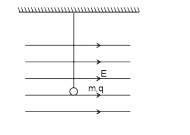 Find out the time period of oscillation when the bob is slightly shift through an angle theta  from it mean   position.