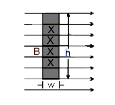 A current I, indicated by the crosses in fig. is established in a strip of copper of height h and width w. A uniform field of magnetic induction B is applied at right angles to the strip.      If no electric field is applied form the outside the electrons will be pushed somewhat to one side & thereforce will give rise to a uniform electric field E(H) across the conductor untill the force of this electrostatic field E(H) balance the magnetic forces encountered in part (b). What will be magnitude and direction of the field E(H)? Assume that n, the number of conduction electrons per unit volume, is 1.1xx10^(29)//m^(3) & that h=0.02 meter, w=0.1cm, i=50 amp, & B=2