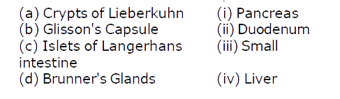 Match the following  structures with their respective location in organs: