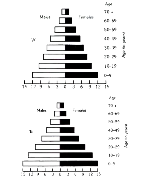 A country with a high rate of population growth took measures to reduce it. The figure below shows agesex pyramids of populations A and B twenty years apart. Select the correct interpretation about them: