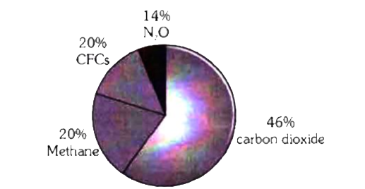 Given Pie Diagram Represents The Relative Contribution Of Various Greenhouse Gases To Total Global Warming Identify The Gases P Q R And S Img Src D10lpgp6xz60nq Cloudfront Net Physics Images Ncert Fing Bio Obj Xii C16 Ei E01 074 Q01 Png