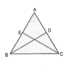 दी गई आकृति में, Delta ABC समद्विबाहु त्रिभुज है जिसमें AB = AC है। BD और CE त्रिभुज की दो माध्यिकाएँ हैं।   सिद्ध कीजिए कि BD=CE