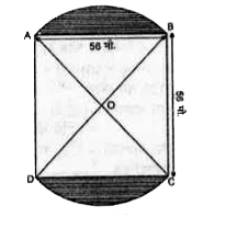 56 मीटर भुजा वाले एक वर्गाकार बगीचे ABCD के AB व CD भुजा पर दो वृत्ताकार फूलों की क्यारियाँ बनाई गई हैं। यदि प्रत्येक वृत्ताकार क्यारी का केन्द्र बगीचे के विकर्णों का प्रतिच्छेद बिन्दु है, तो बगीचे और क्यारियों के क्षेत्रफलों का योग ज्ञात कीजिए।