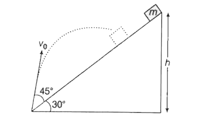 A particle of mass m is projected up from the bottom of an inclined plane with initial velocity v(0) at angle 45^(@) with an inclined plane of inclineation 30^(@) as shown in figure. At the same time a small block of same mass m is released from rest at a height h. The particle hits the block at some point on inclined plane.      The value of height h is