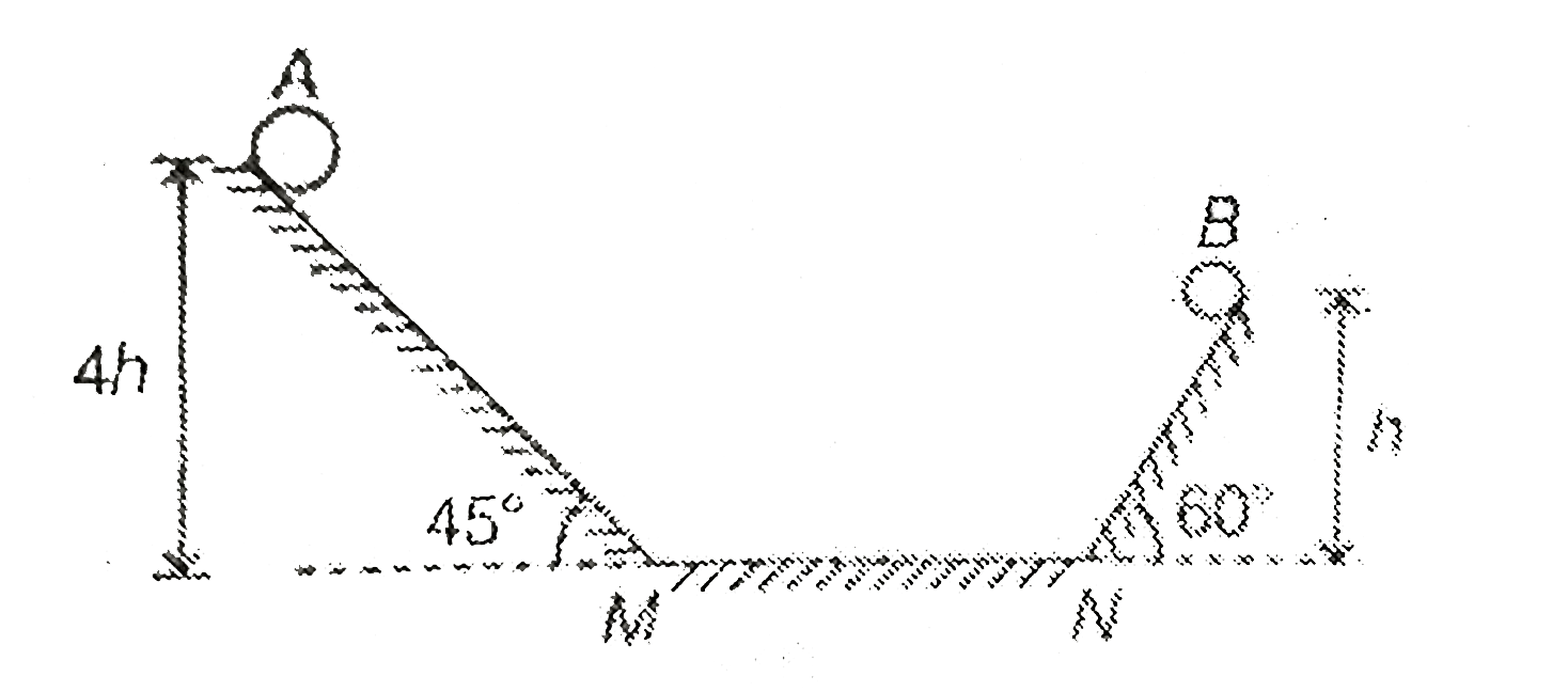 Two identical balls A and B are released from the positions shown in figure  . They collide elastically on horizontal portion MN . The ratio of heights attained by A and B after collision will be (neglect friction)