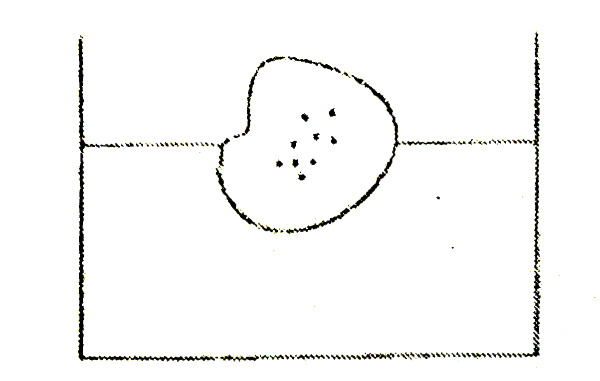 Some pieces of impurity (density =rho) is embedded in ice. This ice is floating in water. (density =rho(w)). When ice melts, level of water will