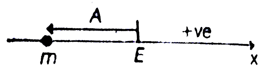 Passage XII) A particle of mass m is constrained to move along x-axis. A force F acts on the particle. F always points toward the position labelled E. For example, when the particle is to the left of E,Fpoints to the right. The magnitude of F is consant except at point E where it is zero. The systm is horizontal. F is the net force acting on the particle. the particle is displaced a distance A towards left from the equilibrium position E and released from rest at t=0.   Find minimum time it will take to reach from x=-A/2 to 0