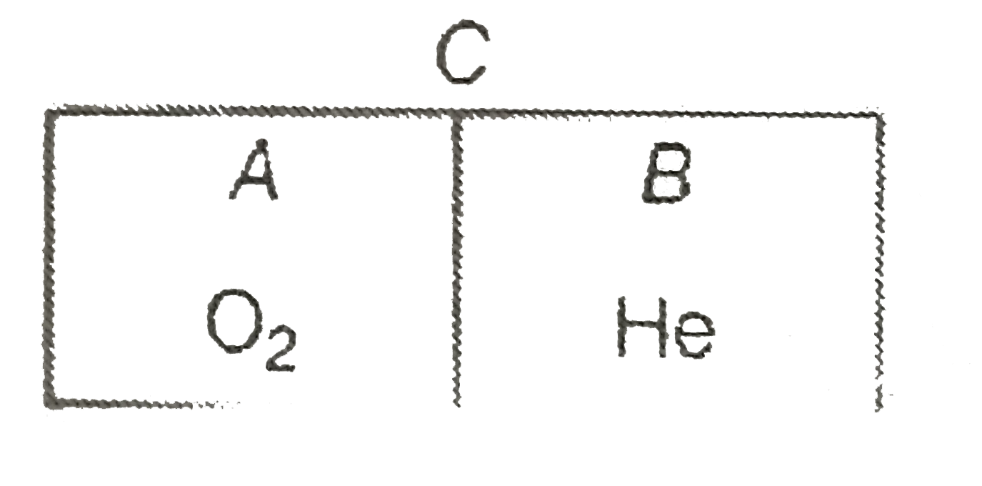 A fixed chamber isolated from surrounding is divided into equal halves A and B  as shown in figure. Part A contains one mole of oxygen and part B contains one mole of helium. The separator C is thermally conducting and kept fixed. Initial temperature of oxygen chamber is 600 K and that of helium 300 K. Specific heat capacity of separator and chamber is negligible. Choose the correct statement.