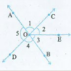 संलग्न आकृति में: क्या angle 1  , angle 2  का आसन्न क्या हैं?