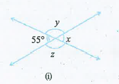 निम्नलिखित में से प्रत्येक में कोण x , y एवं z के मान ज्ञात कीजिये।