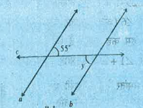 a||b, c  एक तिर्यक छेदी रेखा है angle y =?