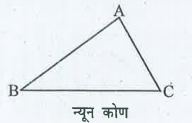 निम्न त्रिभुज में A से bar(BC) तक अनुमान से शीर्षलंब खींचिए। (आकृति 6.6) :