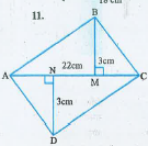 चतुर्भुज ABCD का क्षेत्रफल ज्ञात कीजिये।  जहां AC = 22 cm , BM = 3 cm , DN = 3 cm  और BM| AC , DN | AC