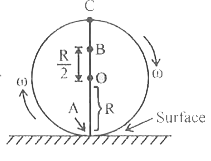 A uniform disc of radius R is rolling (without slipping) on a horizontal surface with an angular speed omega  as shown in the figure. O is the centre of the disc, points A and C are R. located on its rim and point B is at a distance (R)/(2) from O. During rolling, the points A, B and C come on the vertical diameter at a certain instant of time. If v(A) v(B) and v(C) are the linear speeds of points A, Band C respectively at that instant, then