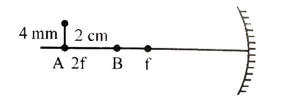 The focal length of a concave mirror is 10 cm. An L- shaped object is placed in front of the mirror as shown. The dimension of L along the horizontal is 2 cm and along the vertical is 4 mm. What is the magnification  of the image along the axis ?