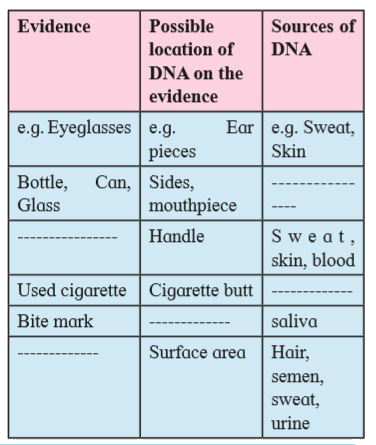 Guess (i) the possible locations of DNA on the collected evidence from a crime scene and (ii) the possible sources of DNA.
