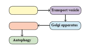 Complete the flow chart