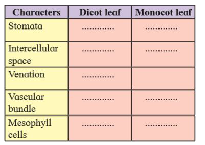 Distinguish between Dicot and Monocot  leaf on the basis of following characters.