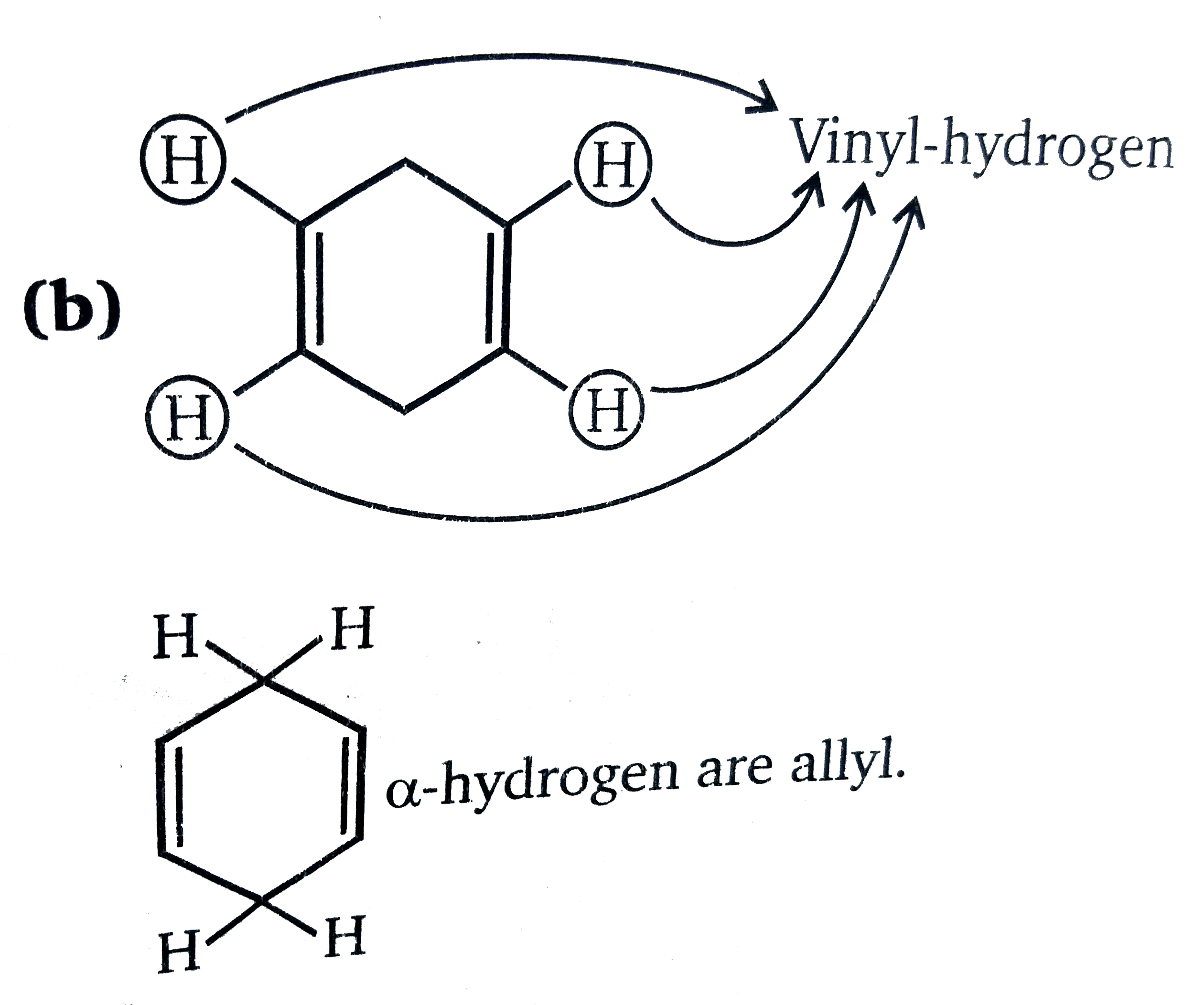 Cyclohexadiene vinylic and allylic atoms