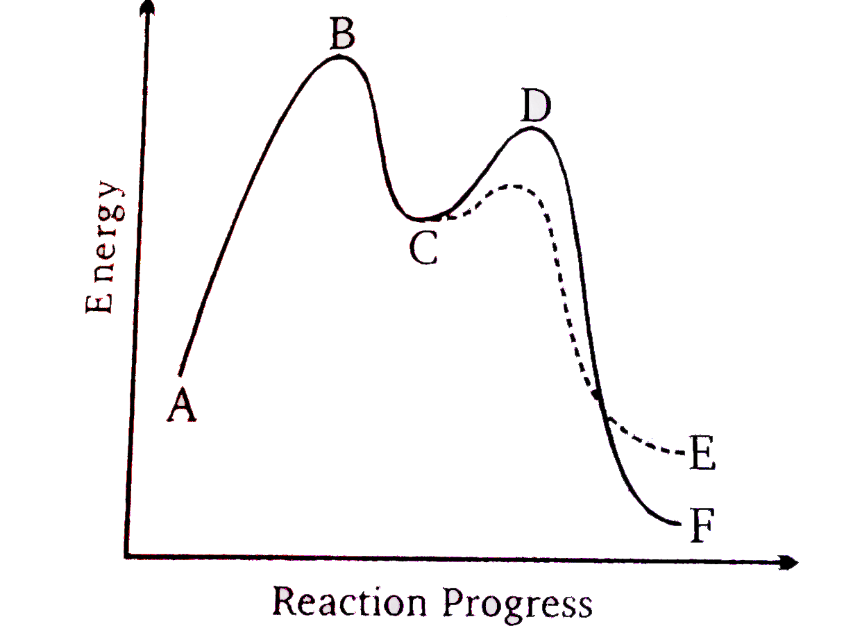 Consider the potential energy diaram given below      (X) Name  the positions A-D   (Y) Answer the following questions .   (I) Both reaction pathways are.  (II) which step is the rate determine step?   (III) which product is most stable ?   (iv) In accordance with Hammonds potulate , exothermixc reaction tend to have