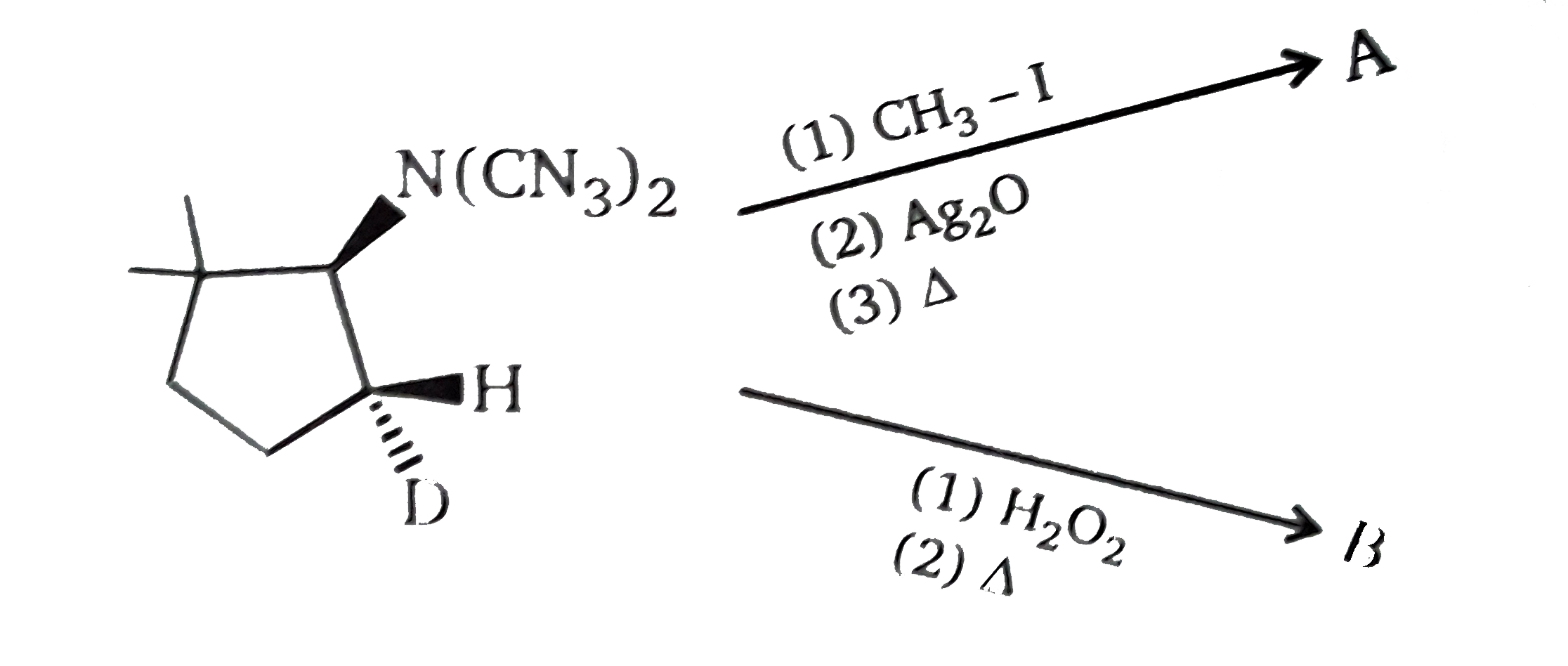 Product (a) & (B) respecitively are: