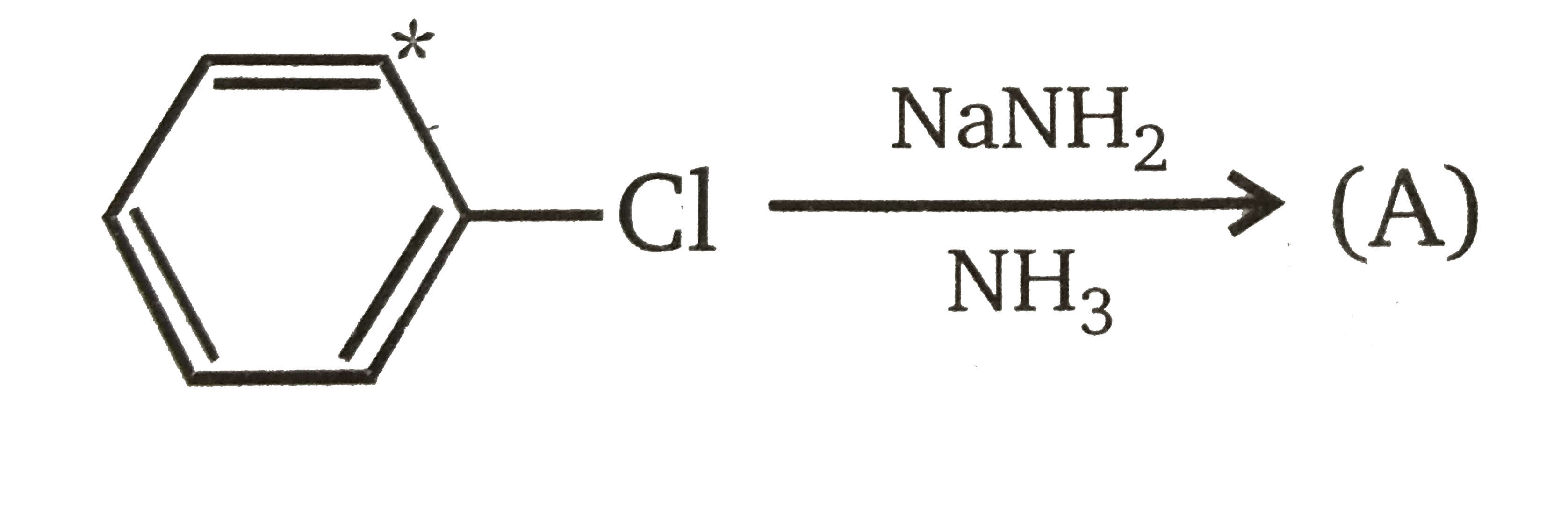 Two benzyne intermediates are likely to be formed equally. Reaction with amide ion can occur in two different directions with each benzyne, giving three possible products. They are formed in a 1 : 2 : 1 ratio. Asterisk (*) refers to .^(14)C.    Major product (A) is: