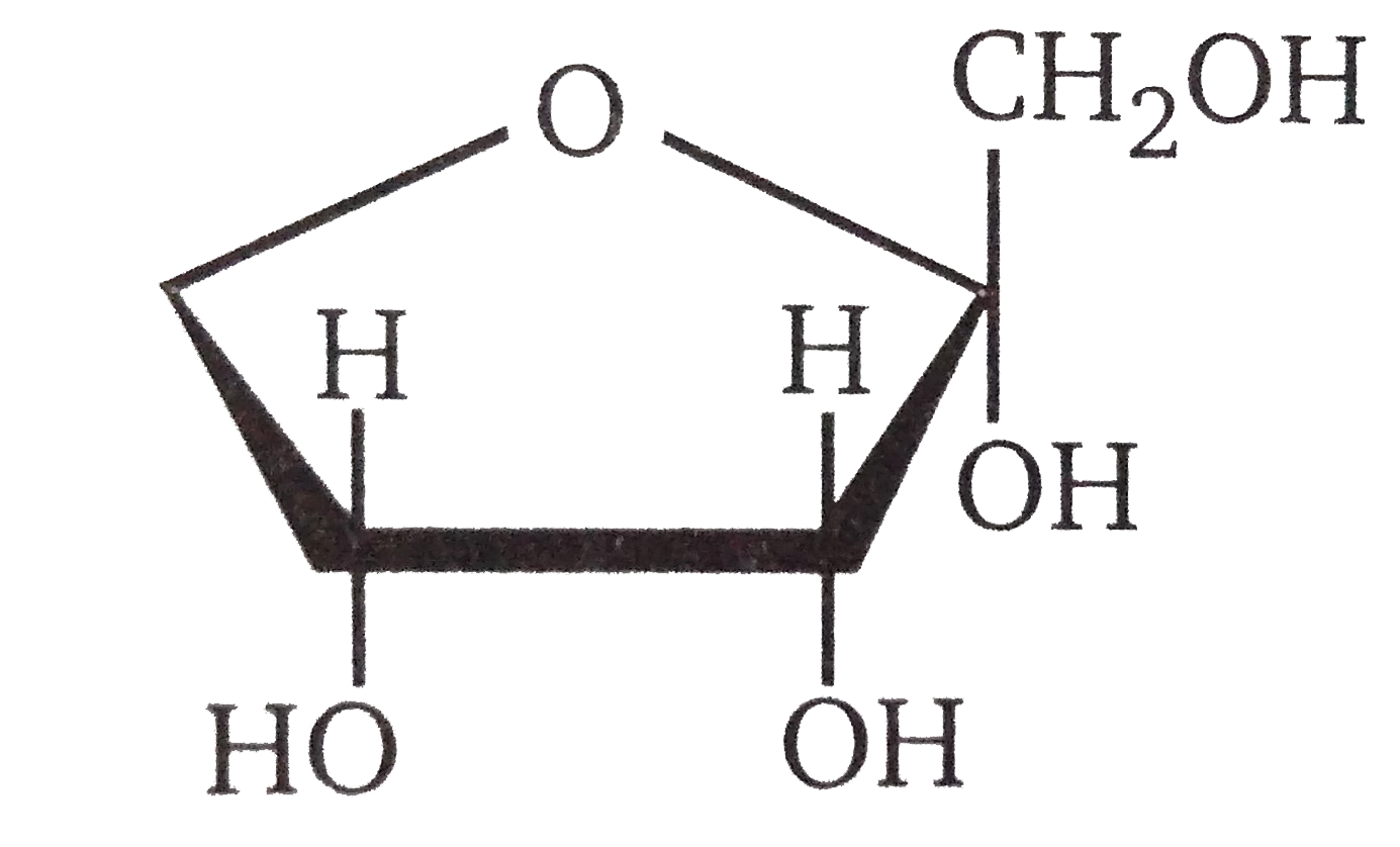 Which set of terms correctly identifies the carbohydrate shown ?       (1) Pentose , (2) Pentulose, (3) Hexulose , (4) Hexose   (5) Aldose, (6) Ketose, (7) Pyranose , (8) Furanose