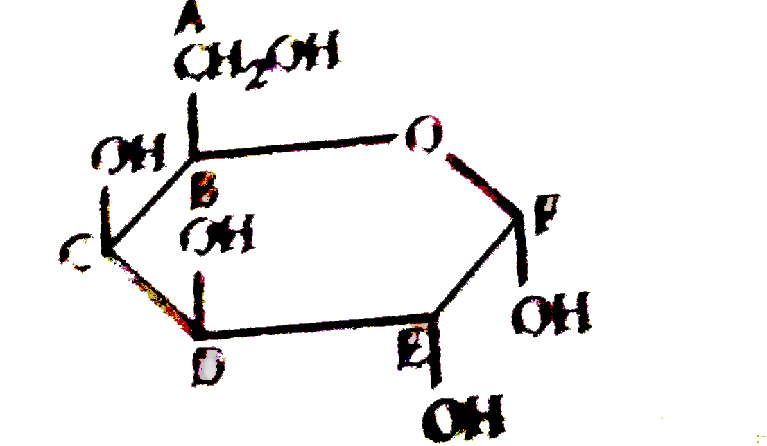 One cyclic acetal form of D-galactose is shown above.