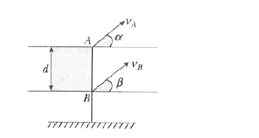 Two particles A and B are thrown simultaneously from two different floors of tower having distance d between them. Velocities of particle A is v(A) at angle alpha from horizontal while velocities of particle B is v(B) at an angle beta from horizontal. If two particles collide in mid-air, then v(A)/v(B).